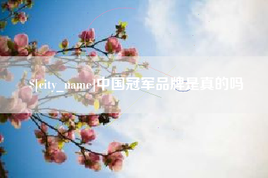 阜新中国冠军品牌是真的吗