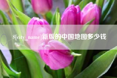 阜新新版的中国地图多少钱