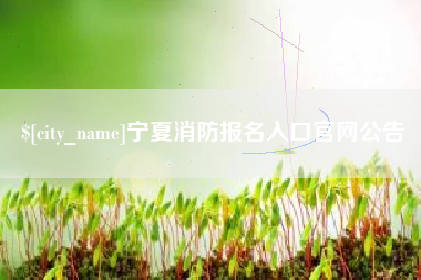 阜新宁夏消防报名入口官网公告