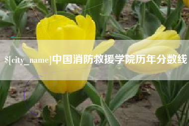 阜新中国消防救援学院历年分数线