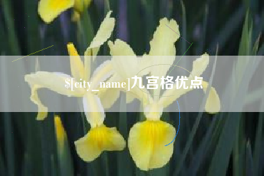 阜新九宫格优点