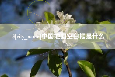 阜新中国地图空白框是什么