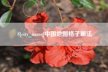 阜新中国地图格子画法