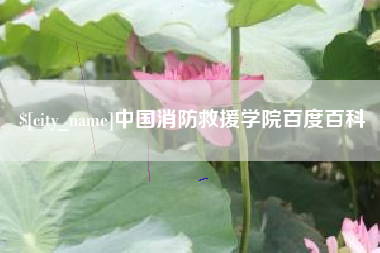 阜新中国消防救援学院百度百科