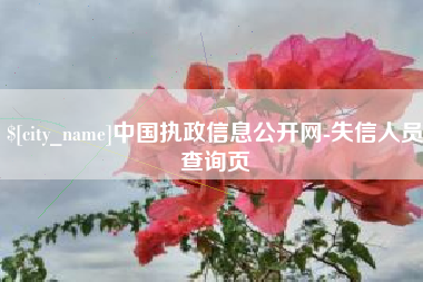 阜新中国执政信息公开网-失信人员查询页