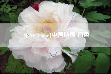 阜新中国地图 白色