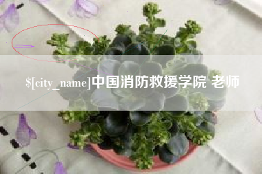 阜新中国消防救援学院 老师