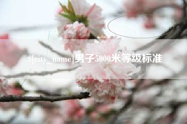 阜新男子5000米等级标准