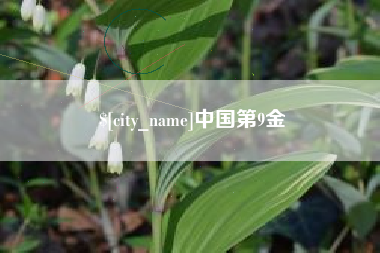 阜新中国第9金