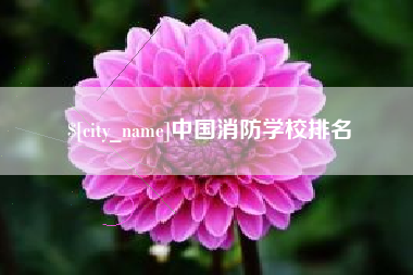 阜新中国消防学校排名
