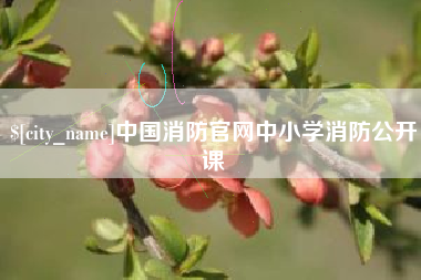 阜新中国消防官网中小学消防公开课