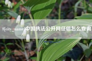 阜新中国执法公开网征信怎么查询