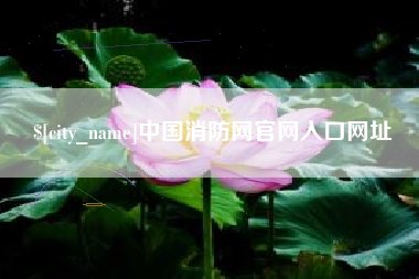 阜新中国消防网官网入口网址