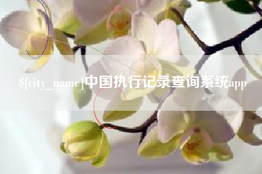 阜新中国执行记录查询系统app