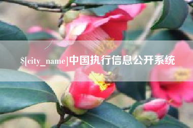 阜新中国执行信息公开系统