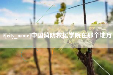 阜新中国消防救援学院在那个地方