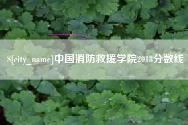 阜新中国消防救援学院2018分数线