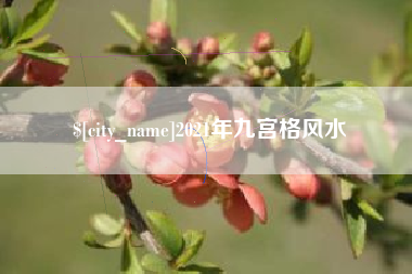 阜新2021年九宫格风水
