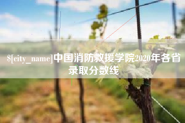 阜新中国消防救援学院2020年各省录取分数线
