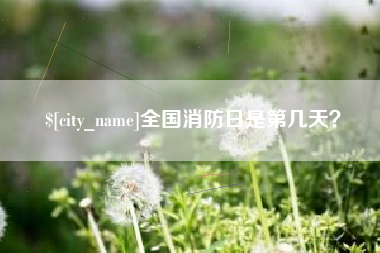 阜新全国消防日是第几天？