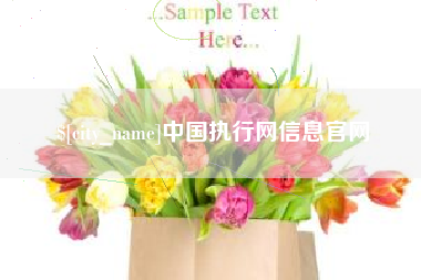 阜新中国执行网信息官网