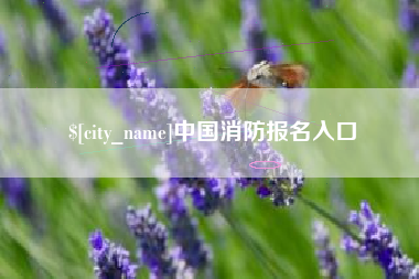阜新中国消防报名入口