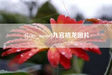 阜新九宫格龙图片