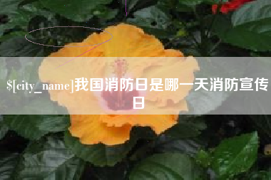 阜新我国消防日是哪一天消防宣传日