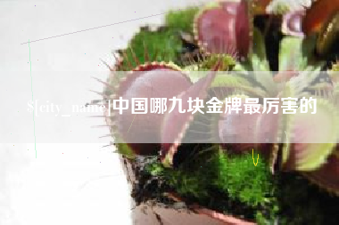 阜新中国哪九块金牌最厉害的