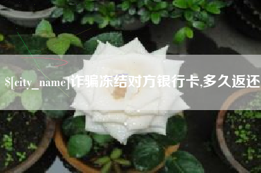 阜新诈骗冻结对方银行卡,多久返还