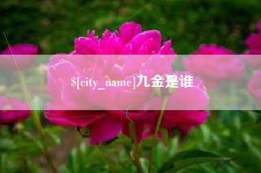 阜新九金是谁