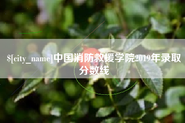 阜新中国消防救援学院2019年录取分数线
