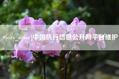 阜新中国执行信息公开网平台维护