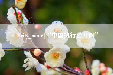阜新“中国执行公开网”