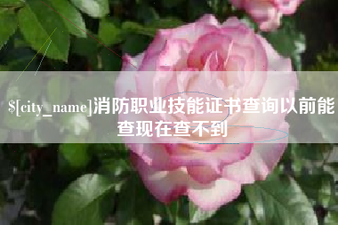 阜新消防职业技能证书查询以前能查现在查不到