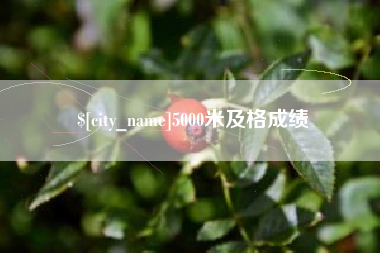阜新5000米及格成绩