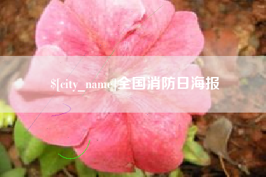 阜新全国消防日海报
