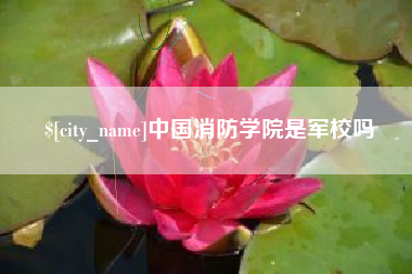 阜新中国消防学院是军校吗