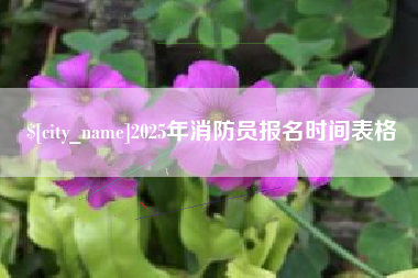 阜新2025年消防员报名时间表格