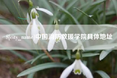阜新中国消防救援学院具体地址