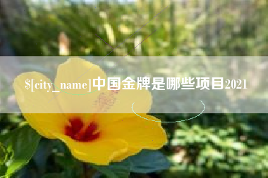 阜新中国金牌是哪些项目2021