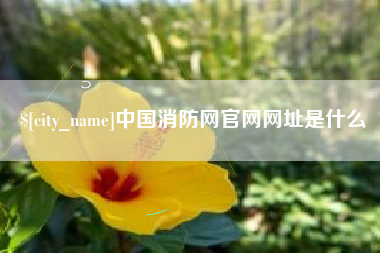 阜新中国消防网官网网址是什么