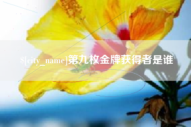 阜新第九枚金牌获得者是谁