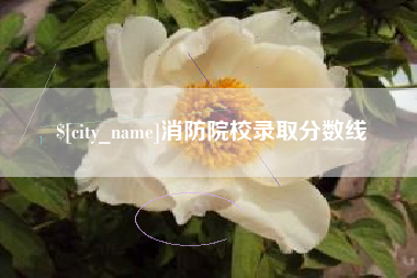 阜新消防院校录取分数线