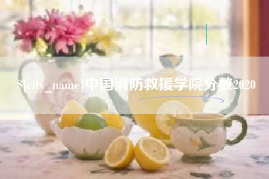 阜新中国消防救援学院分数2020