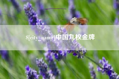 阜新中国九枚金牌