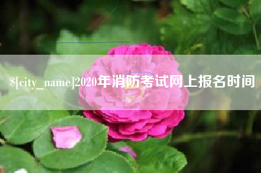 阜新2020年消防考试网上报名时间