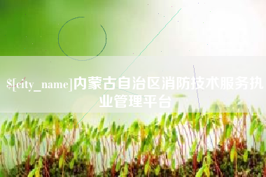 阜新内蒙古自治区消防技术服务执业管理平台