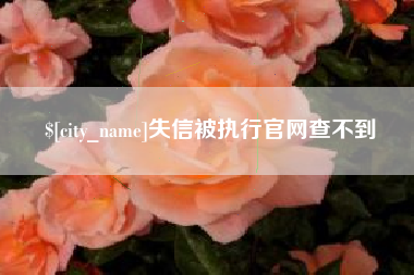 阜新失信被执行官网查不到
