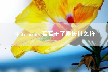阜新看看王子豪长什么样